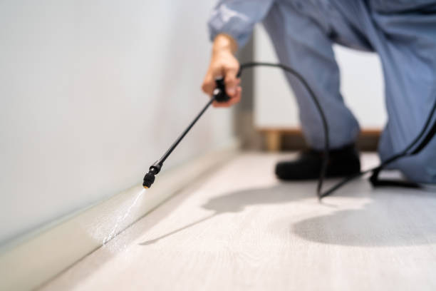 Licensed Pest Control service in Del City, OK - Show Me Pest Control