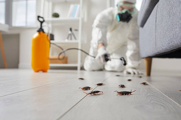 Commercial Kitchen Cockroach Control in Del City